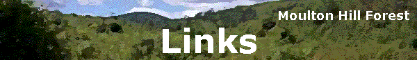 Links